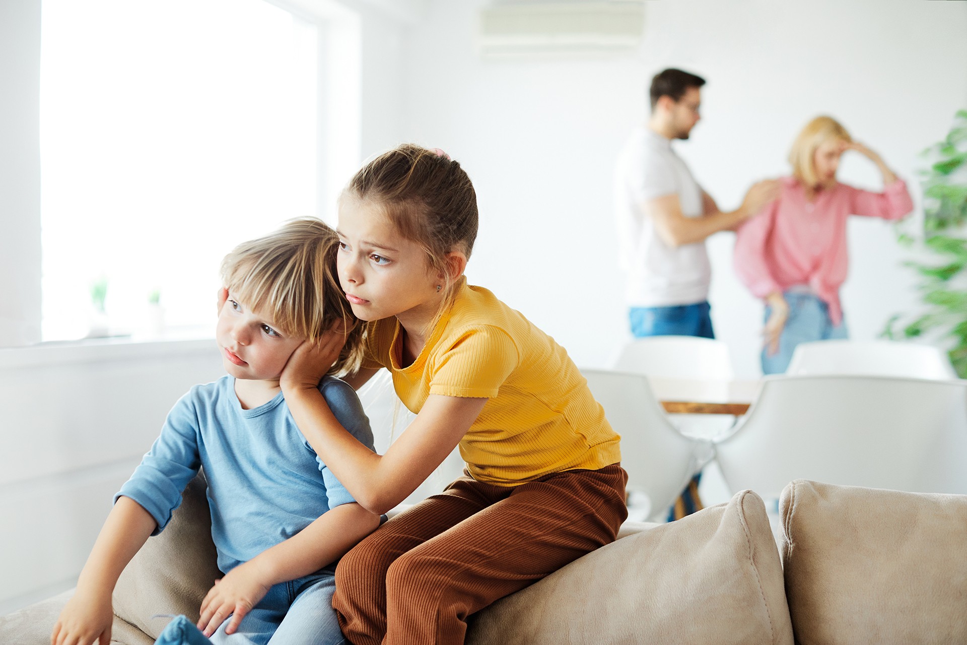 Mediation in Familien und Partnerschaften - Bernhard Haschek, Mediator